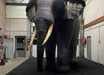 Elephant 4m