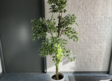 Ficus kunstplant in pot